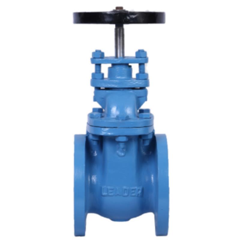 Leader CI Sluice Valve (All Iron) CL-125