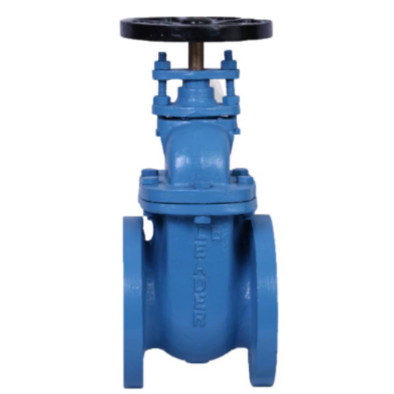 Leader CI Sluice Valve (GM+SS Parts) CL-125