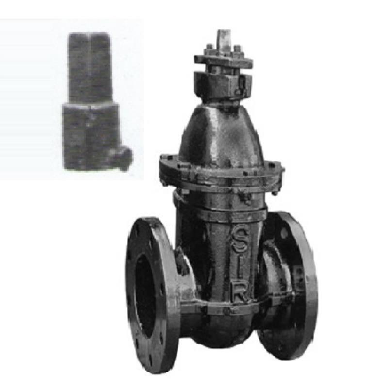 SIR CI Sluice Valve (With Cap) PN 10