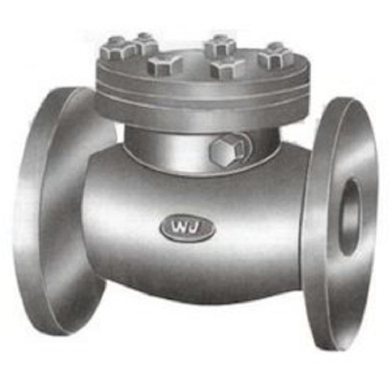 WJ Cast Iron IBR Swing Check Valve
