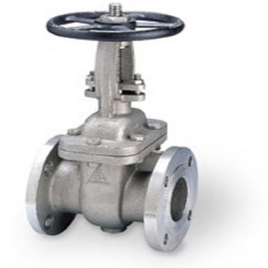 WJ Cast Carbon Steel IBR Gate Valve Class 600 | WJ