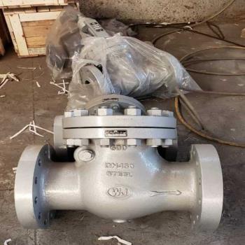 WJ Cast Carbon Steel IBR Swing Check Valve Class-600 | WJ
