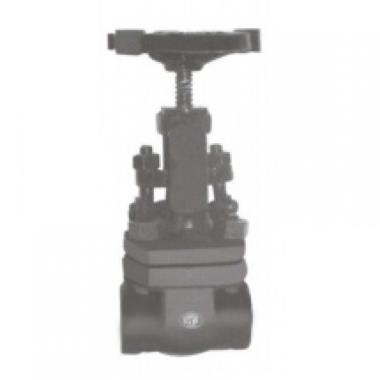 WJ Forged Carbon Steel IBR Gate Valve | WJ