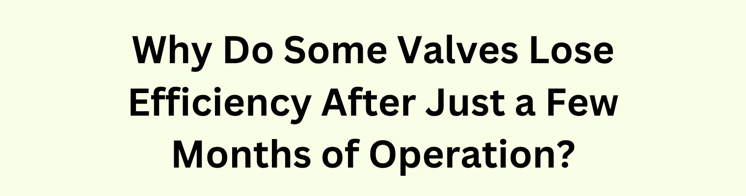 Why Do Some Valves Lose Efficiency After Just a Few Months of Operation?