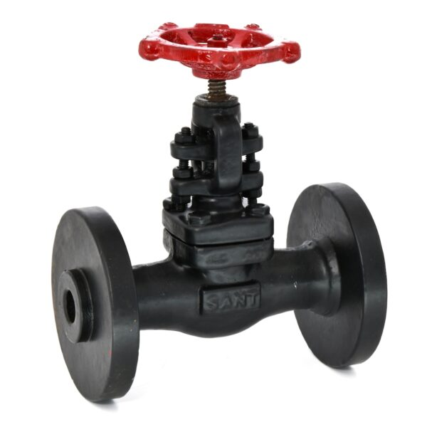 Globe Valve