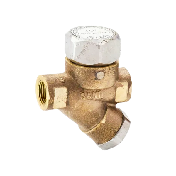 Steam Trap