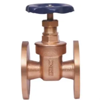 Leader Gun Metal Gate Valve ISI Marked, flanged | LEADER