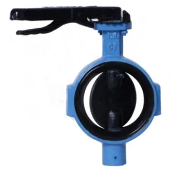 Leader CI Butterfly Valve PN-16 ISI Marked | LEADER