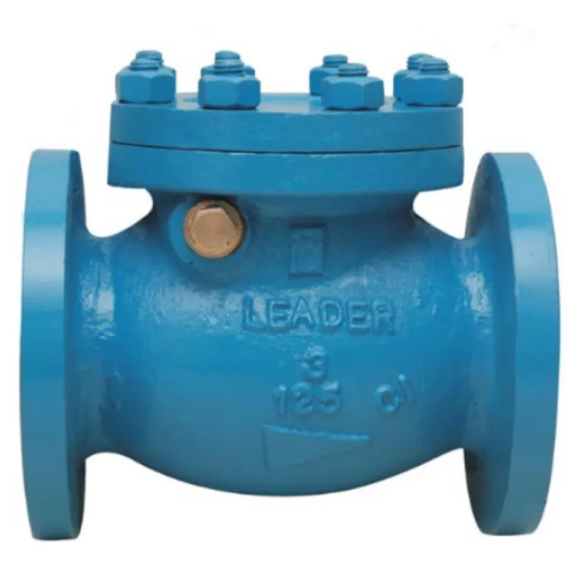 Leader CI Swing Check Valve GM/SS Parts