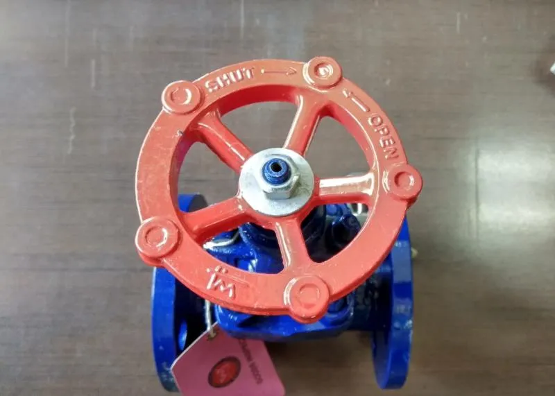 WJ Forged Carbon Steel IBR Globe Valve Flanged End
