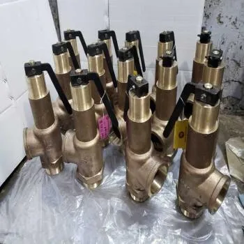 WJ Bronze IBR Spring Loaded Pop Type Angle Safety Valve (Screwed) | WJ