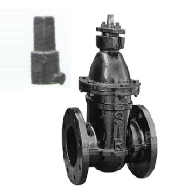 SIR CI Sluice Valve (With Cap) PN 10