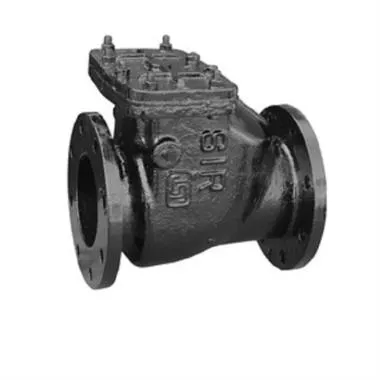 SIR CI Reflux Valve | SIR