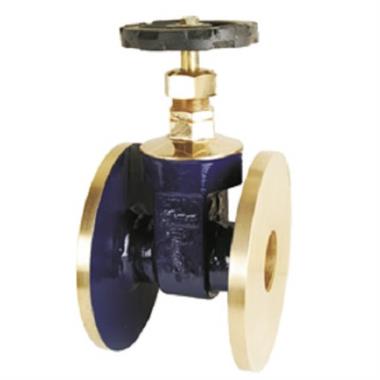 Sant Gun Metal Gate Valve (Flanged) | SANT