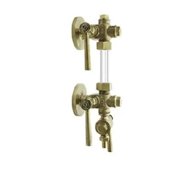 Sant Bronze IBR Sleeve Packed Water Level Gauge (flanges)  | SANT