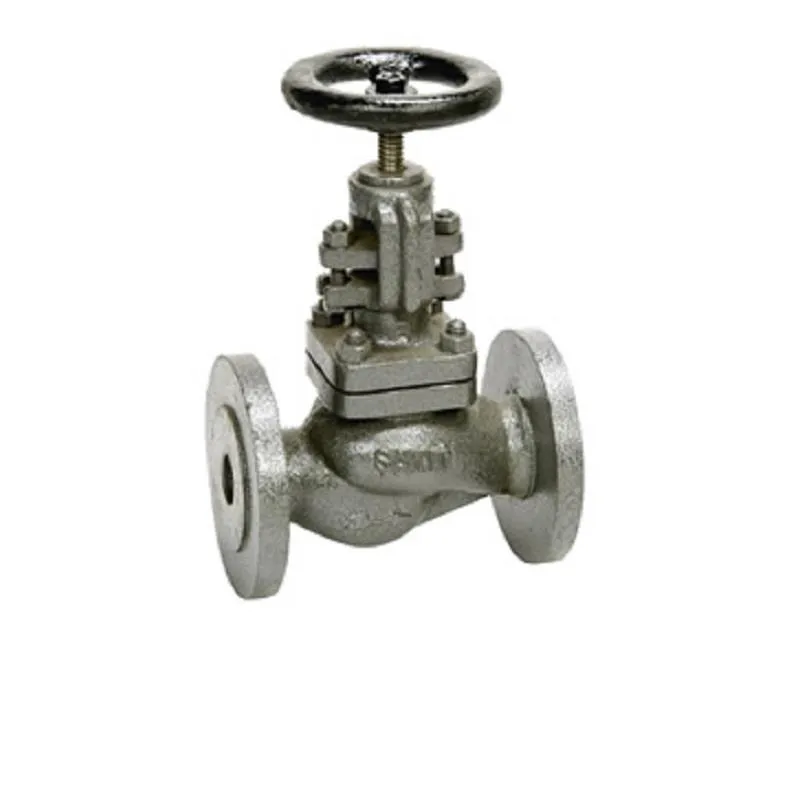 Sant CI IBR Globe Valve PN-16