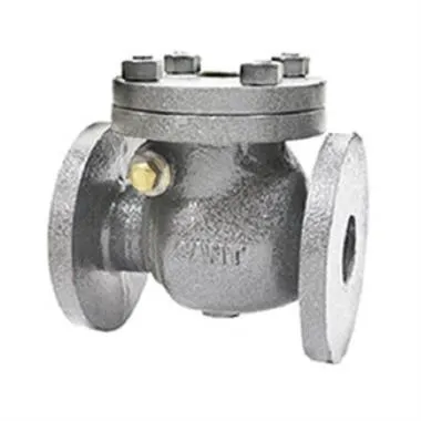 Sant CI IBR Swing Check Valve Class 125 | SANT