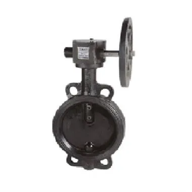 Sant CI Butterfly Valve PN-16 | SANT
