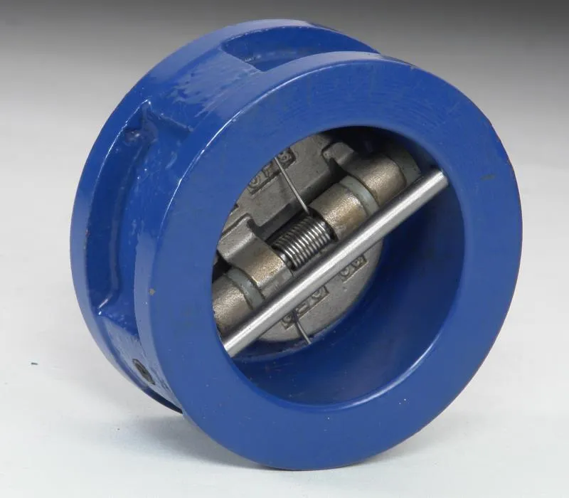 SKS310D CI Dual Plate Wafer Check Valve (NRV) (PN 16)