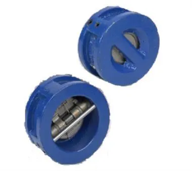 SKS330S6D DI Dual Plate Wafer Check Valve (NRV) SS 316 Disc (PN 30) | SKS