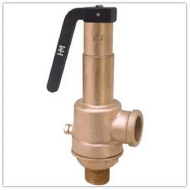 WJ Bronze IBR Spring Loaded Safety Valve (Screwed) | WJ