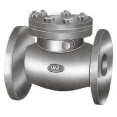 WJ Cast Iron IBR Swing Check Valve | WJ