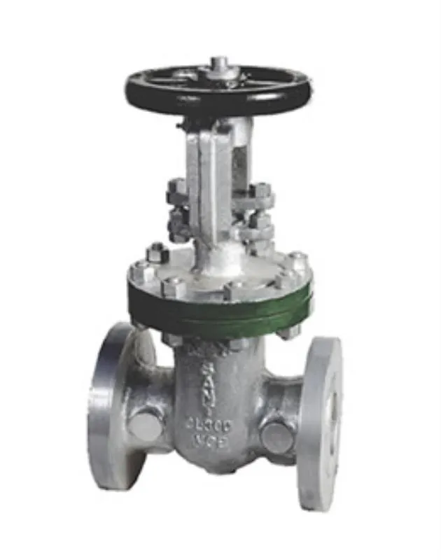Sant Cast Steel IBR Gate Valve
