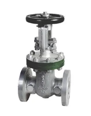 Sant Cast Steel IBR Gate Valve Class 600 | SANT