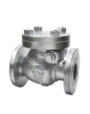 Sant Cast Steel IBR Horizontal Check Valve Class 300 | SANT