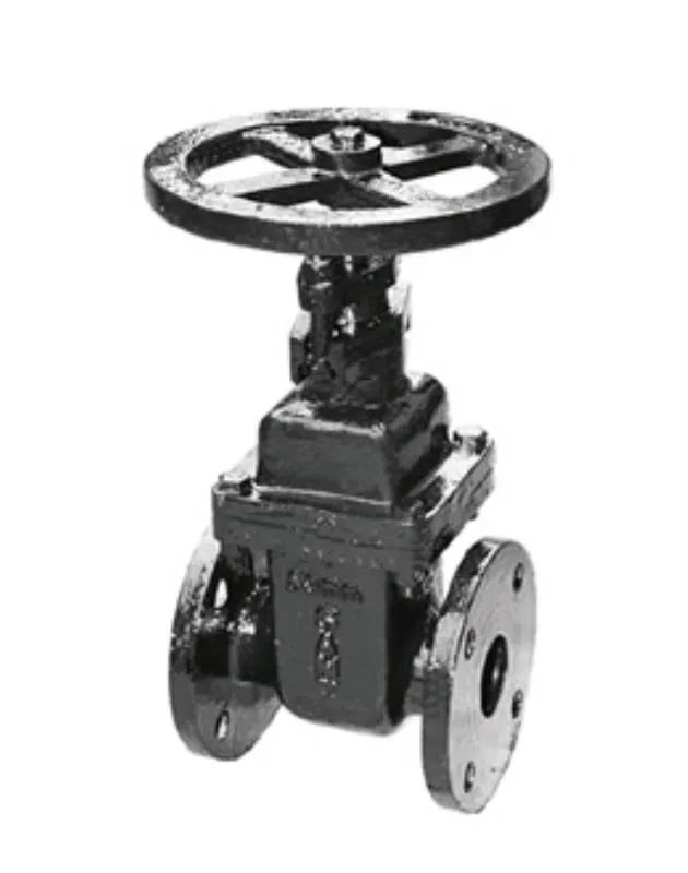 Sant CI Wedge Gate Sluice Valve (flanged)