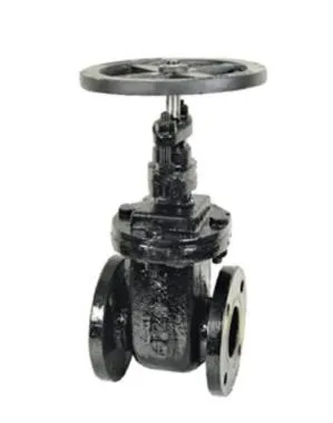 Sant CI Wedge Sluice Valve  | SANT